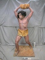 藏品(北京人塑像)的圖片